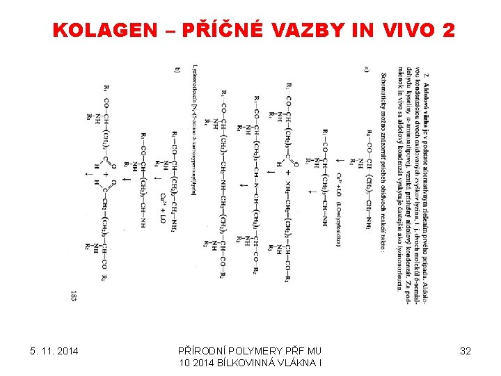 KOLAGEN – PŘÍČNÉ VAZBY IN VIVO 2 5. 11. 2014 PŘÍRODNÍ POLYMERY PŘF MU