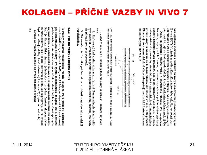 KOLAGEN – PŘÍČNÉ VAZBY IN VIVO 7 5. 11. 2014 PŘÍRODNÍ POLYMERY PŘF MU