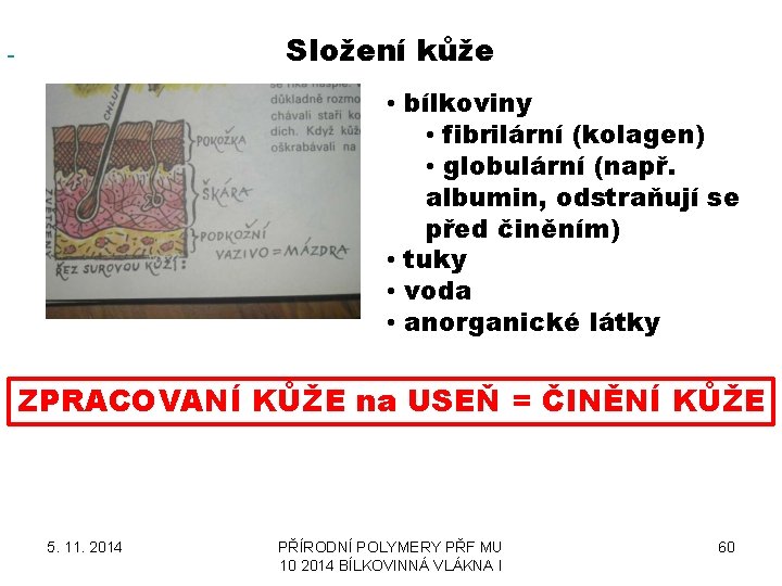  Složení kůže • bílkoviny • fibrilární (kolagen) • globulární (např. albumin, odstraňují se