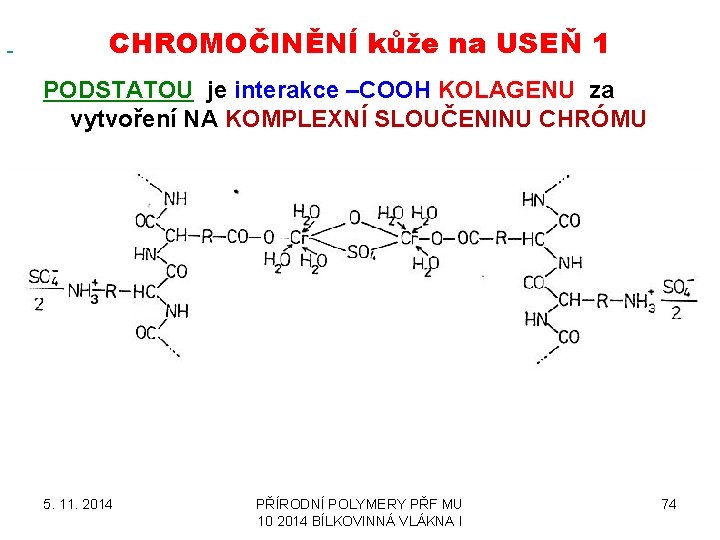  CHROMOČINĚNÍ kůže na USEŇ 1 PODSTATOU je interakce –COOH KOLAGENU za vytvoření NA