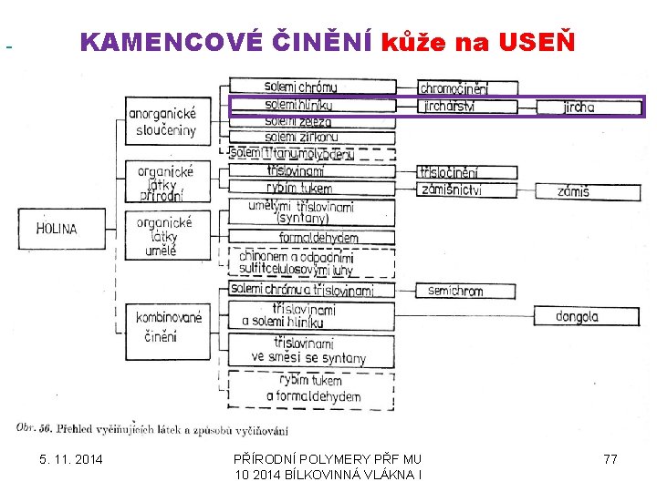  KAMENCOVÉ ČINĚNÍ kůže na USEŇ 5. 11. 2014 PŘÍRODNÍ POLYMERY PŘF MU 10