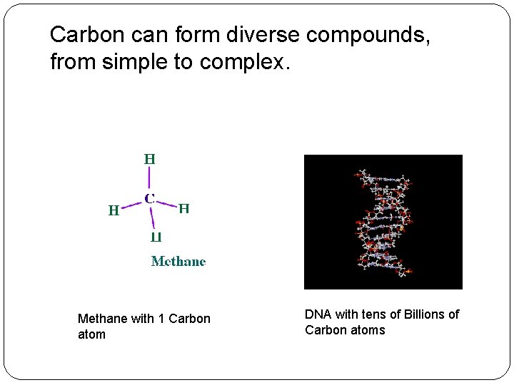 Carbon can form diverse compounds, from simple to complex. Methane with 1 Carbon atom