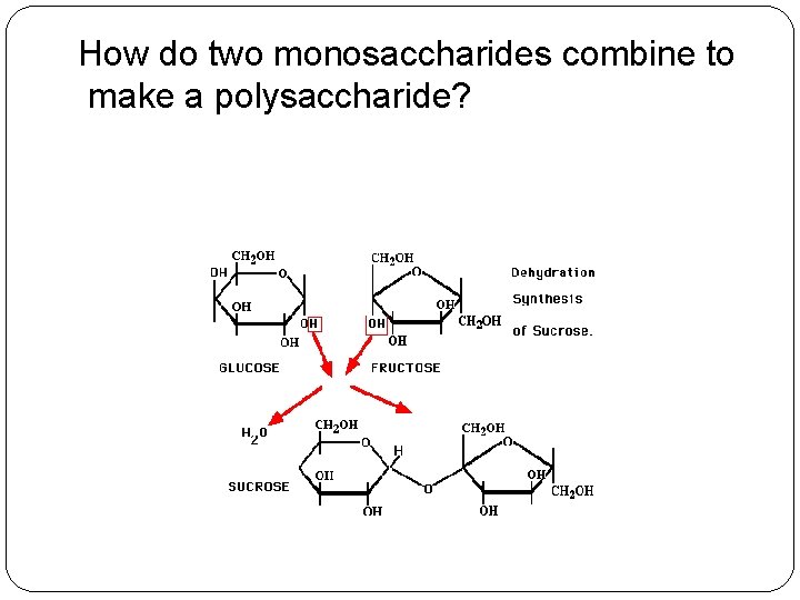 How do two monosaccharides combine to make a polysaccharide? 