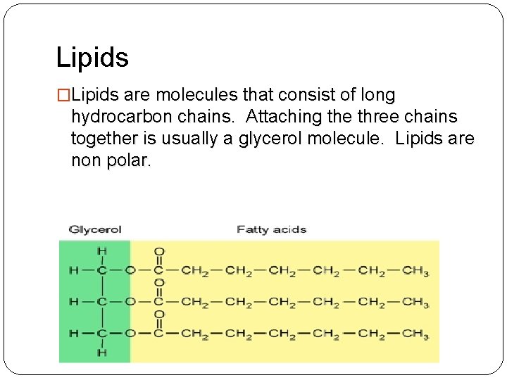 Lipids �Lipids are molecules that consist of long hydrocarbon chains. Attaching the three chains