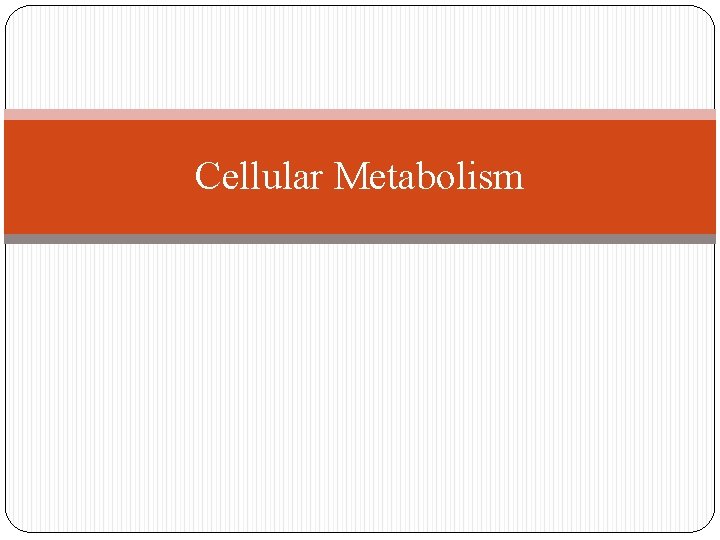 Cellular Metabolism 