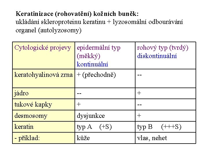 Keratinizace (rohovatění) kožních buněk: ukládání skleroproteinu keratinu + lyzosomální odbourávání organel (autolyzosomy) Cytologické projevy