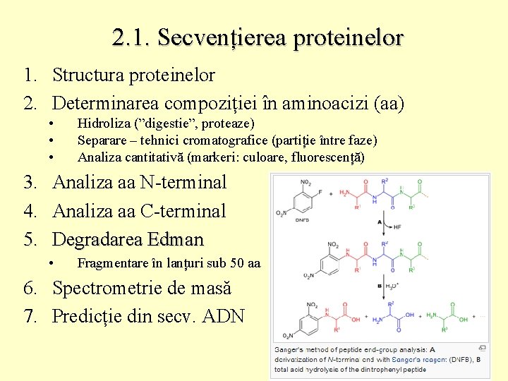 2. 1. Secvențierea proteinelor 1. Structura proteinelor 2. Determinarea compoziției în aminoacizi (aa) •