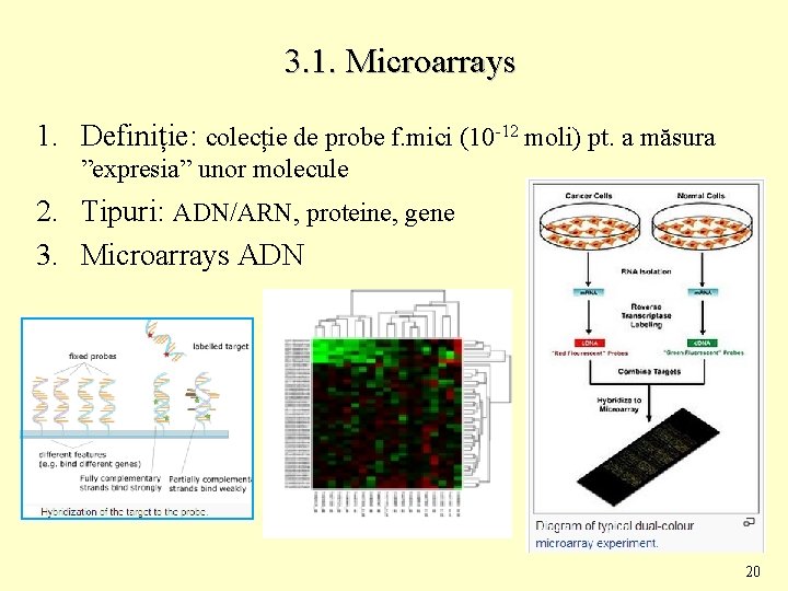 3. 1. Microarrays 1. Definiție: colecție de probe f. mici (10 -12 moli) pt.