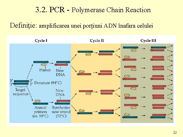 3. 2. PCR - Polymerase Chain Reaction Definiție: amplificarea unei porțiuni ADN înafara celulei