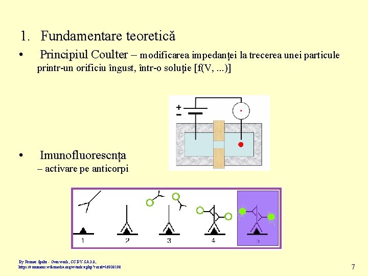 1. Fundamentare teoretică • Principiul Coulter – modificarea impedanței la trecerea unei particule printr-un