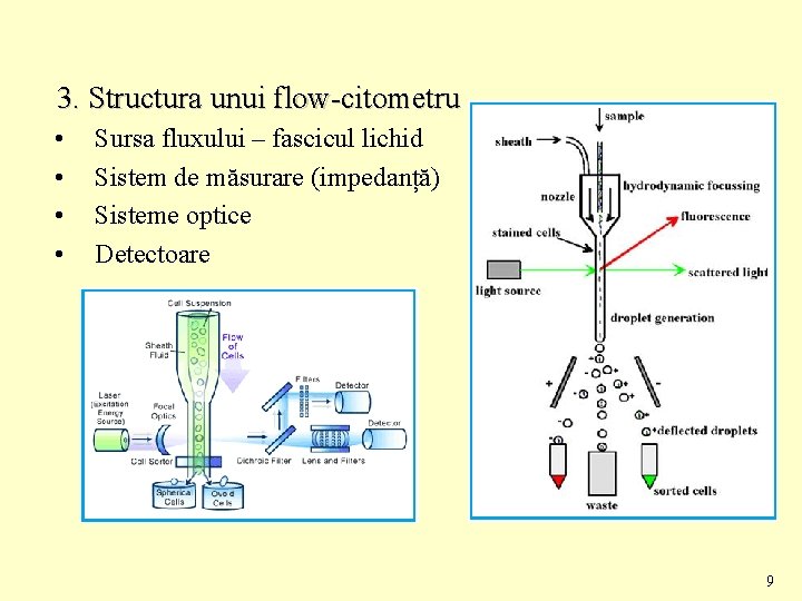 3. Structura unui flow-citometru • • Sursa fluxului – fascicul lichid Sistem de măsurare