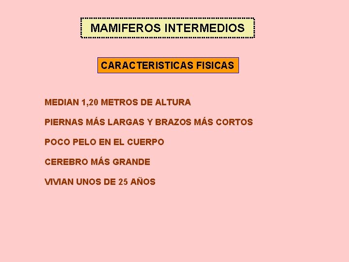 MAMIFEROS INTERMEDIOS CARACTERISTICAS FISICAS MEDIAN 1, 20 METROS DE ALTURA PIERNAS MÁS LARGAS Y