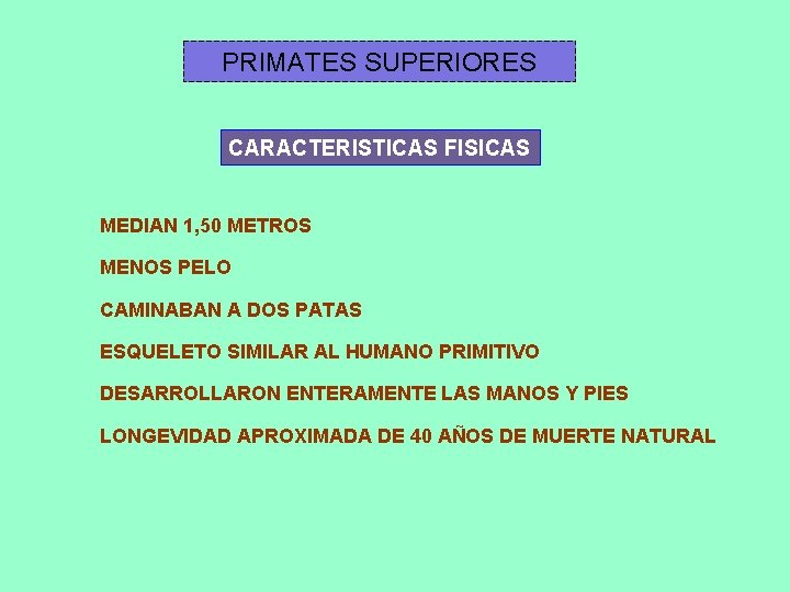 PRIMATES SUPERIORES CARACTERISTICAS FISICAS MEDIAN 1, 50 METROS MENOS PELO CAMINABAN A DOS PATAS