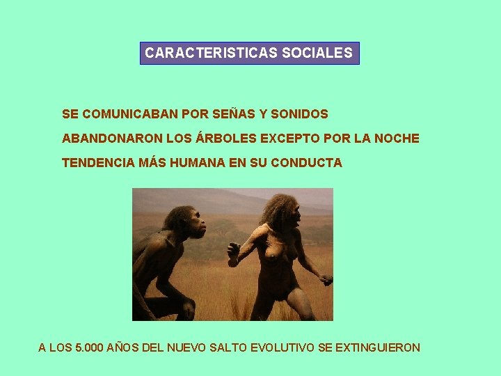 CARACTERISTICAS SOCIALES SE COMUNICABAN POR SEÑAS Y SONIDOS ABANDONARON LOS ÁRBOLES EXCEPTO POR LA