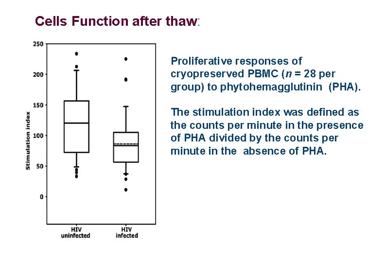 Cells Function after thaw: Proliferative responses of cryopreserved PBMC (n = 28 per group)