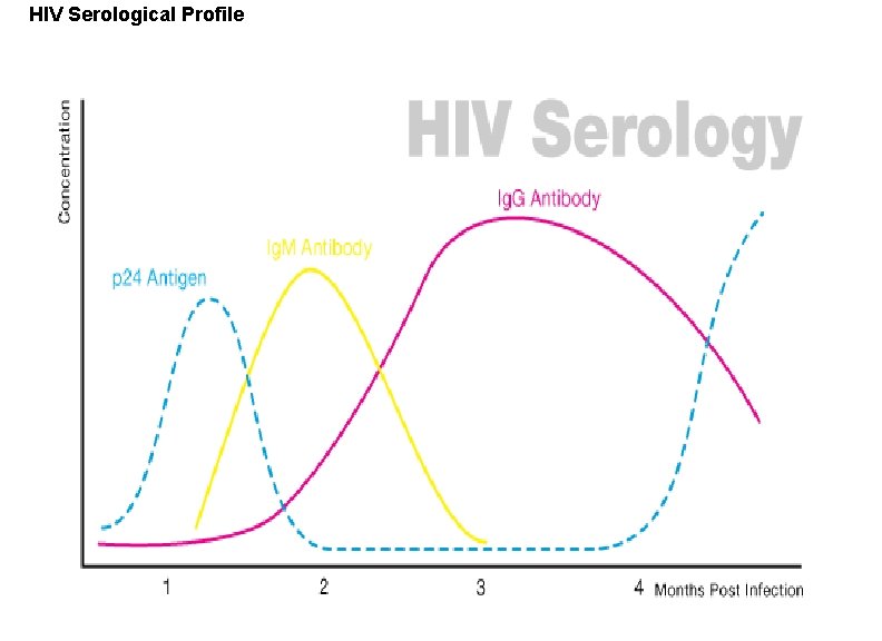 HIV Serological Profile 