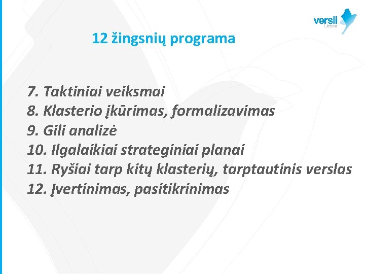 12 žingsnių programa 7. Taktiniai veiksmai 8. Klasterio įkūrimas, formalizavimas 9. Gili analizė 10.