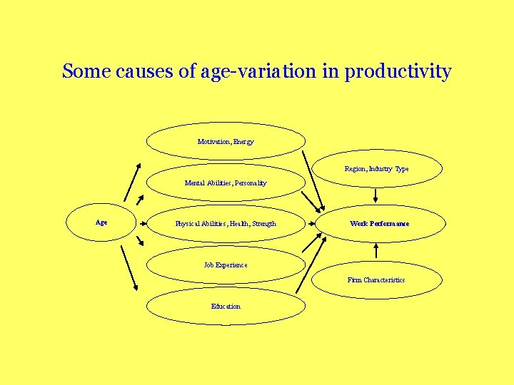 Some causes of age-variation in productivity Motivation, Energy Region, Industry Type Mental Abilities, Personality