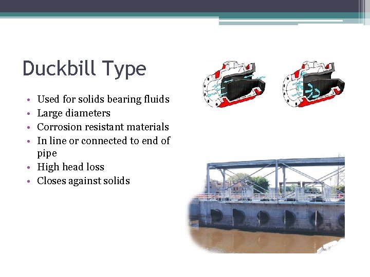 Duckbill Type • • Used for solids bearing fluids Large diameters Corrosion resistant materials