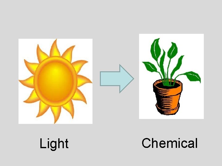 Light Chemical 