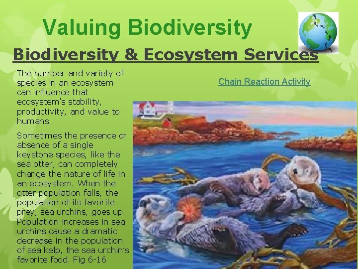 Valuing Biodiversity & Ecosystem Services The number and variety of species in an ecosystem
