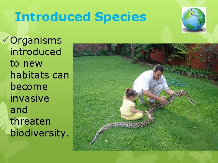 Introduced Species ü Organisms introduced to new habitats can become invasive and threaten biodiversity.