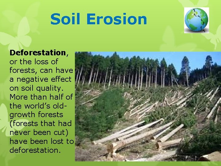 Soil Erosion Deforestation, or the loss of forests, can have a negative effect on