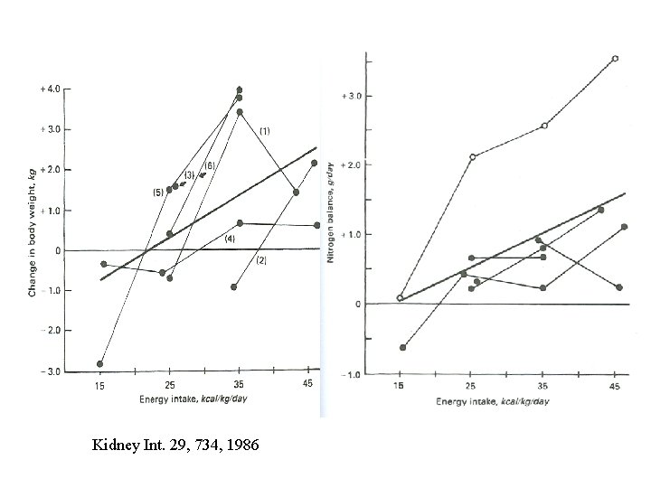 Kidney Int. 29, 734, 1986 