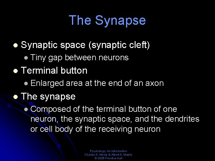 The Synapse l Synaptic space (synaptic cleft) l l Terminal button l l Tiny