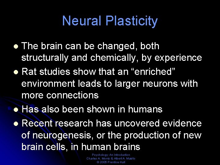 Neural Plasticity The brain can be changed, both structurally and chemically, by experience l