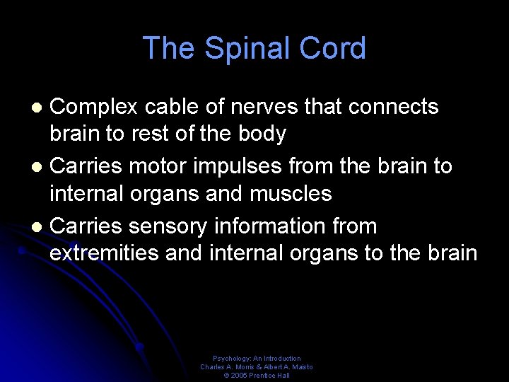The Spinal Cord Complex cable of nerves that connects brain to rest of the