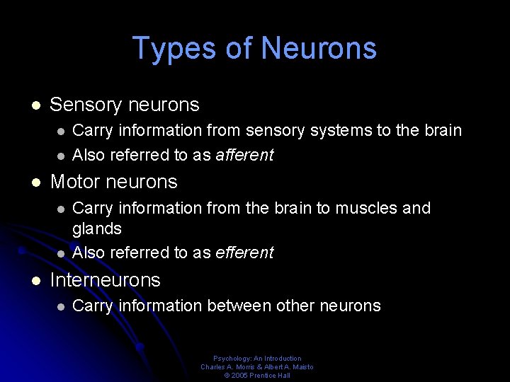 Types of Neurons l Sensory neurons l l l Motor neurons l l l