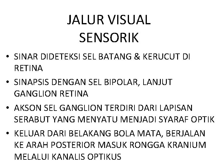 JALUR VISUAL SENSORIK • SINAR DIDETEKSI SEL BATANG & KERUCUT DI RETINA • SINAPSIS