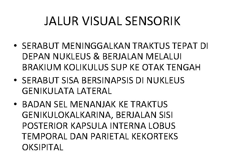 JALUR VISUAL SENSORIK • SERABUT MENINGGALKAN TRAKTUS TEPAT DI DEPAN NUKLEUS & BERJALAN MELALUI