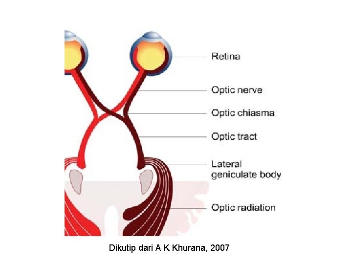 Dikutip dari A K Khurana, 2007 