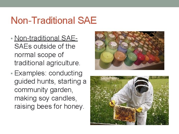 Non-Traditional SAE • Non-traditional SAE- SAEs outside of the normal scope of traditional agriculture.