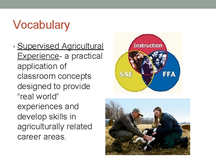 Vocabulary • Supervised Agricultural Experience- a practical application of classroom concepts designed to provide