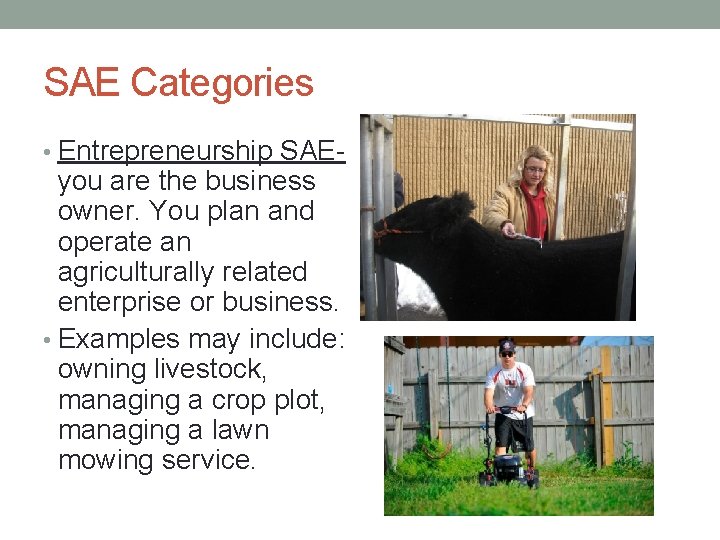 SAE Categories • Entrepreneurship SAE- you are the business owner. You plan and operate
