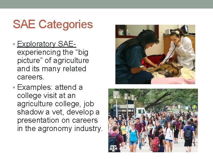 SAE Categories • Exploratory SAE- experiencing the “big picture” of agriculture and its many