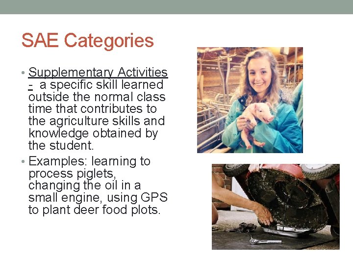 SAE Categories • Supplementary Activities - a specific skill learned outside the normal class