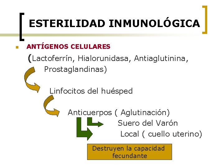 ESTERILIDAD INMUNOLÓGICA n ANTÍGENOS CELULARES (Lactoferrín, Hialorunidasa, Antiaglutinina, Prostaglandinas) Linfocitos del huésped Anticuerpos (