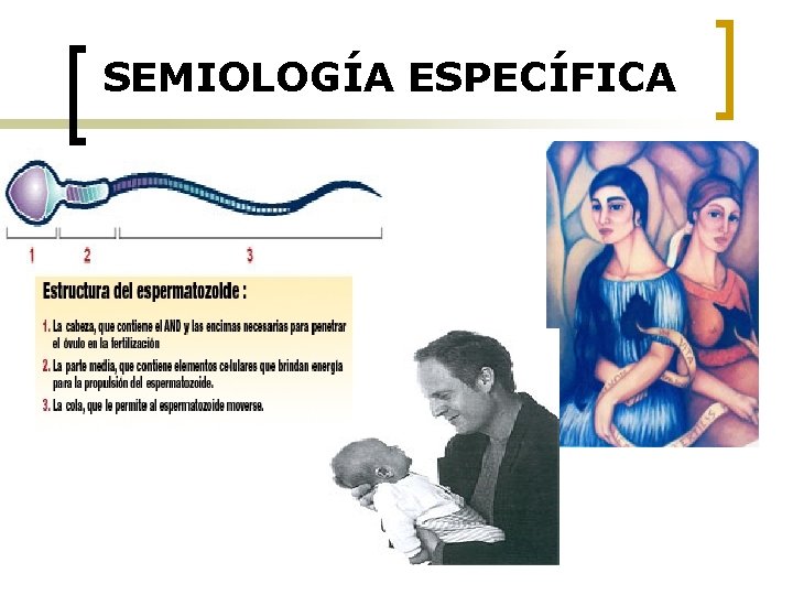 SEMIOLOGÍA ESPECÍFICA 