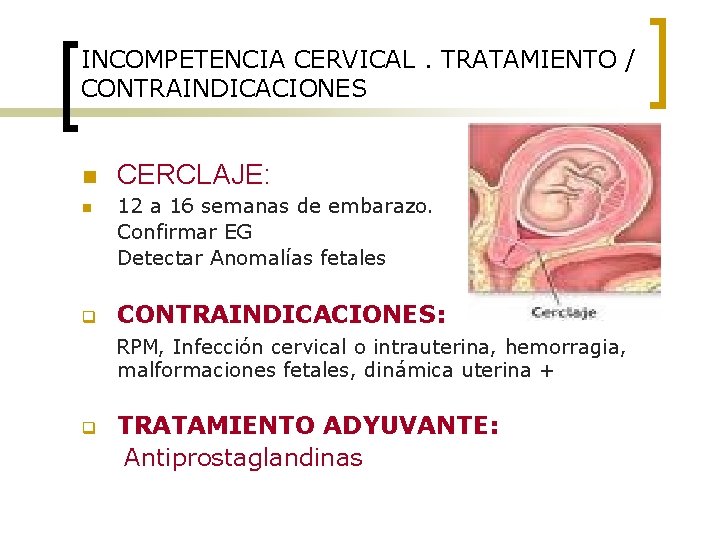 INCOMPETENCIA CERVICAL. TRATAMIENTO / CONTRAINDICACIONES n n q CERCLAJE: 12 a 16 semanas de