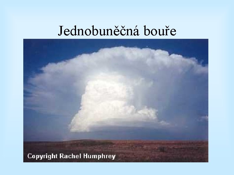 Jednobuněčná bouře 