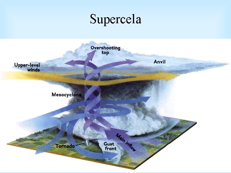 Supercela 