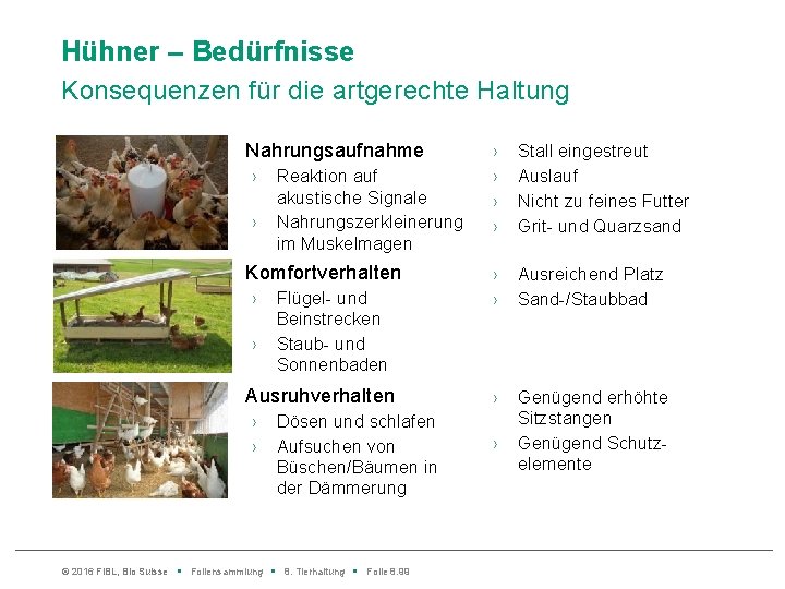 Hühner – Bedürfnisse Konsequenzen für die artgerechte Haltung Nahrungsaufnahme › › Reaktion auf akustische
