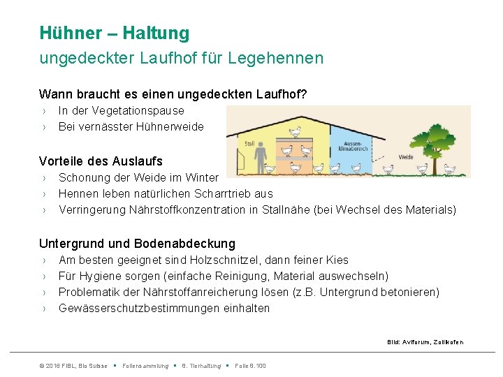 Hühner – Haltung ungedeckter Laufhof für Legehennen Wann braucht es einen ungedeckten Laufhof? ›