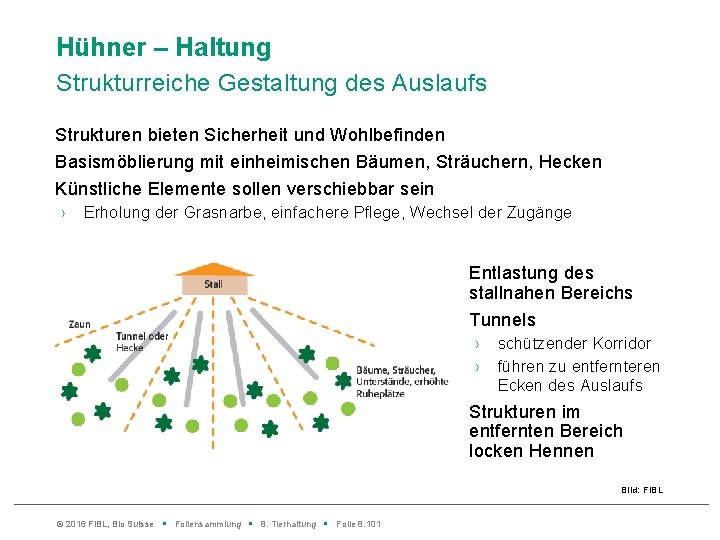 Hühner – Haltung Strukturreiche Gestaltung des Auslaufs Strukturen bieten Sicherheit und Wohlbefinden Basismöblierung mit