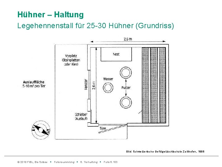 Hühner – Haltung Legehennenstall für 25 -30 Hühner (Grundriss) Bild: Schweizerische Geflügelzuchtschule Zollikofen, 1998
