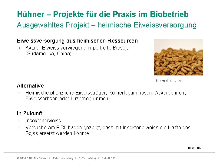 Hühner – Projekte für die Praxis im Biobetrieb Ausgewähltes Projekt – heimische Eiweissversorgung aus